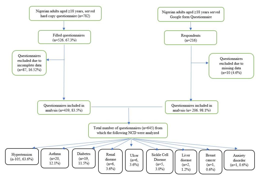Pattern of Consumption of Dietary and Herbal Supplements by Individuals